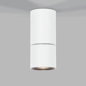 Светильник потолочный светодиодный Sens 10W 4000K белый 25042/LED Elektrostandard