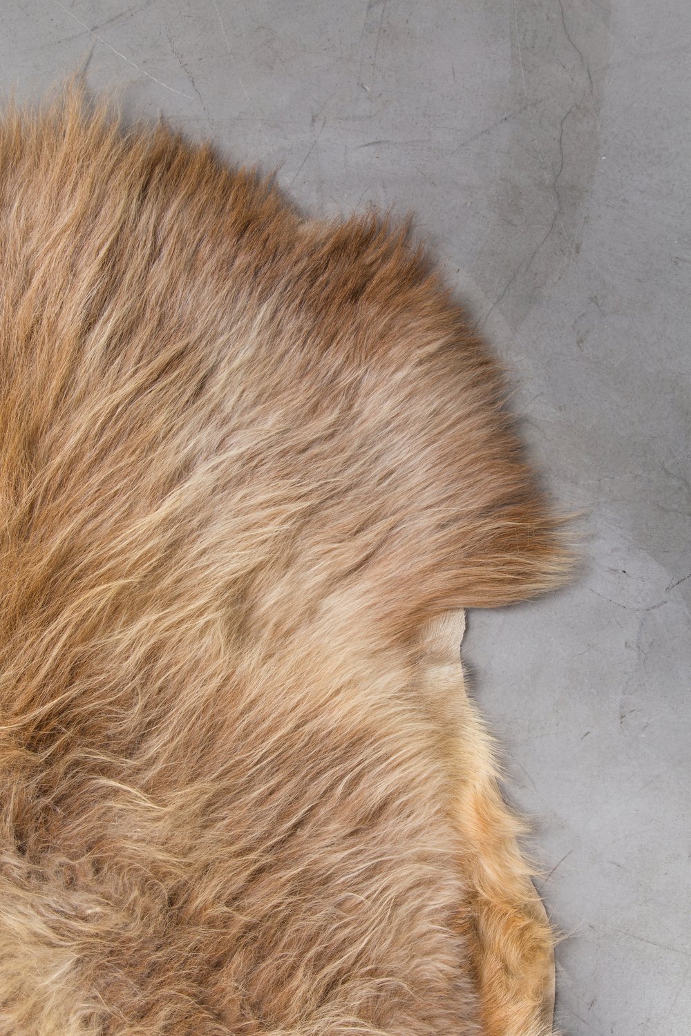 шкура декоративная