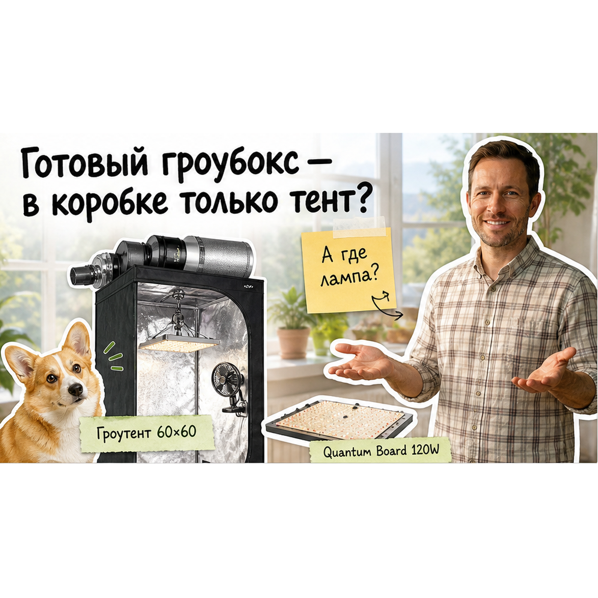 Как выбрать первый гроубокс: готовый комплект 60×60 или гроутент под ключ