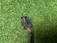 Проводка моторного отсека Haval Dargo (2022-н.в.)