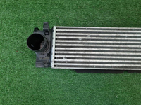 Интеркулер Geely Tugella (2019-н.в.)