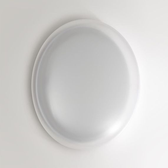 Настенно-потолочный светильник Sonex JOLLY 7776/DLN