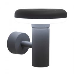 Citilux GARDA CLU01W LED Уличный настенный светильник Графит