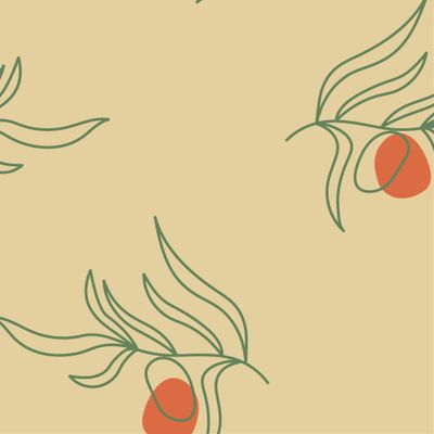 Олива маслины