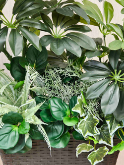 Искусственные растения латекс 65см в длинном кашпо