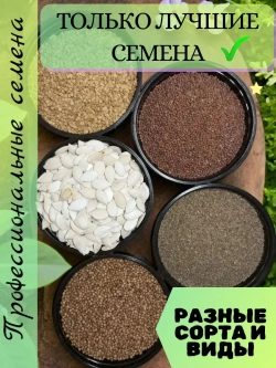 Семена Горох "Альфа" 1 кг