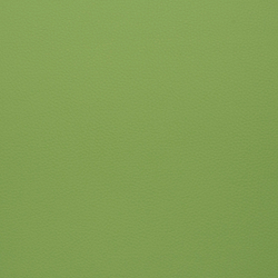 Искусственная кожа Grifon (Грифон) 06