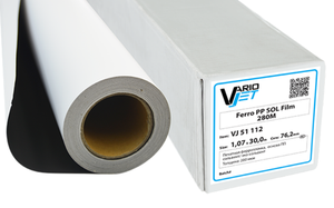 Ферроплёнка