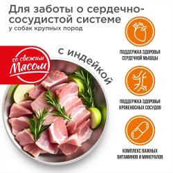 Корм сухой для взрослых собак крупных пород, премиум полнорационный комплекс, для заботы сердечно-сосудистой системы, с индейкой, 12 кг, QUATTRO