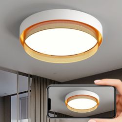 Потолочный Светильник Malia D55 Black Brass 4000К By Imperiumloft