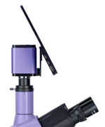 Микроскоп люминесцентный цифровой MAGUS Lum D400 LCD