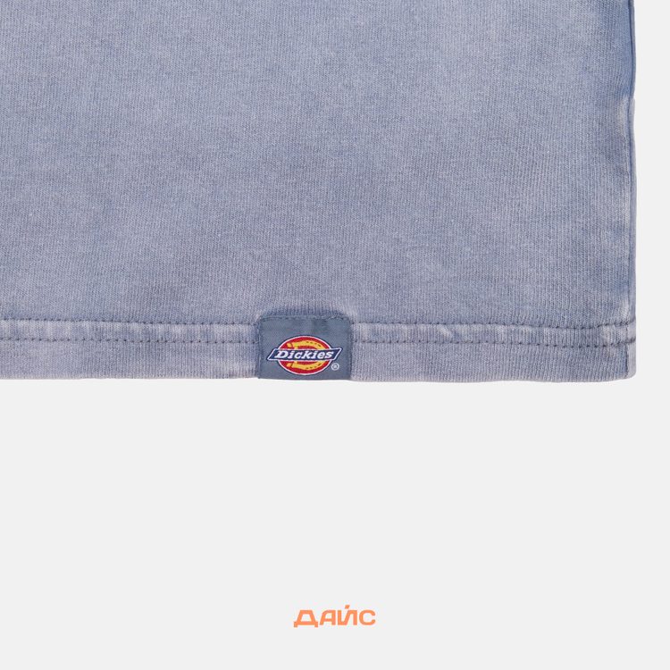 Футболка мужская Dickies Plentywood артикул:DK0A866BG701 - купить в магазине Дайс
