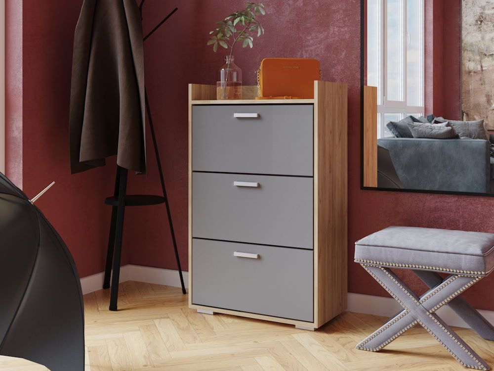 Виго-1 Обувница