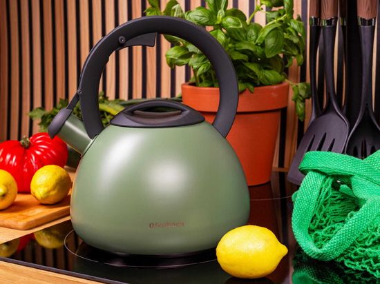 Чайник 2,7 л. из нержавеющей стали со свистком Ofenbach NB 100323