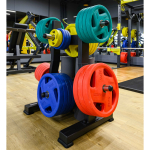 Диск обрезиненный FASSION цветной D51 мм PROFI-FIT  1,25 кг