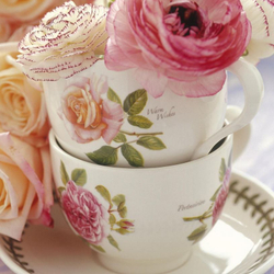 Portmeirion Чайная чашка Botanic Roses 200 мл с блюдцем Tamora Peach