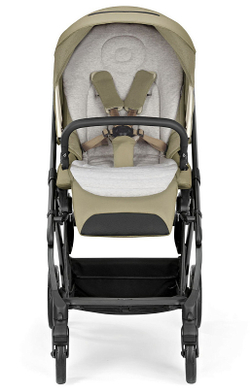 Детская коляска Inglesina Electa System Duo 2 в 1 2024 Dumbo Caramel