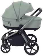 Детская коляска Rant Flex Therm Soft 3 в 1 с автокреслом Evomax Grey Forest Green
