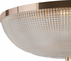 Накладной светильник Maytoni C046CL-06G