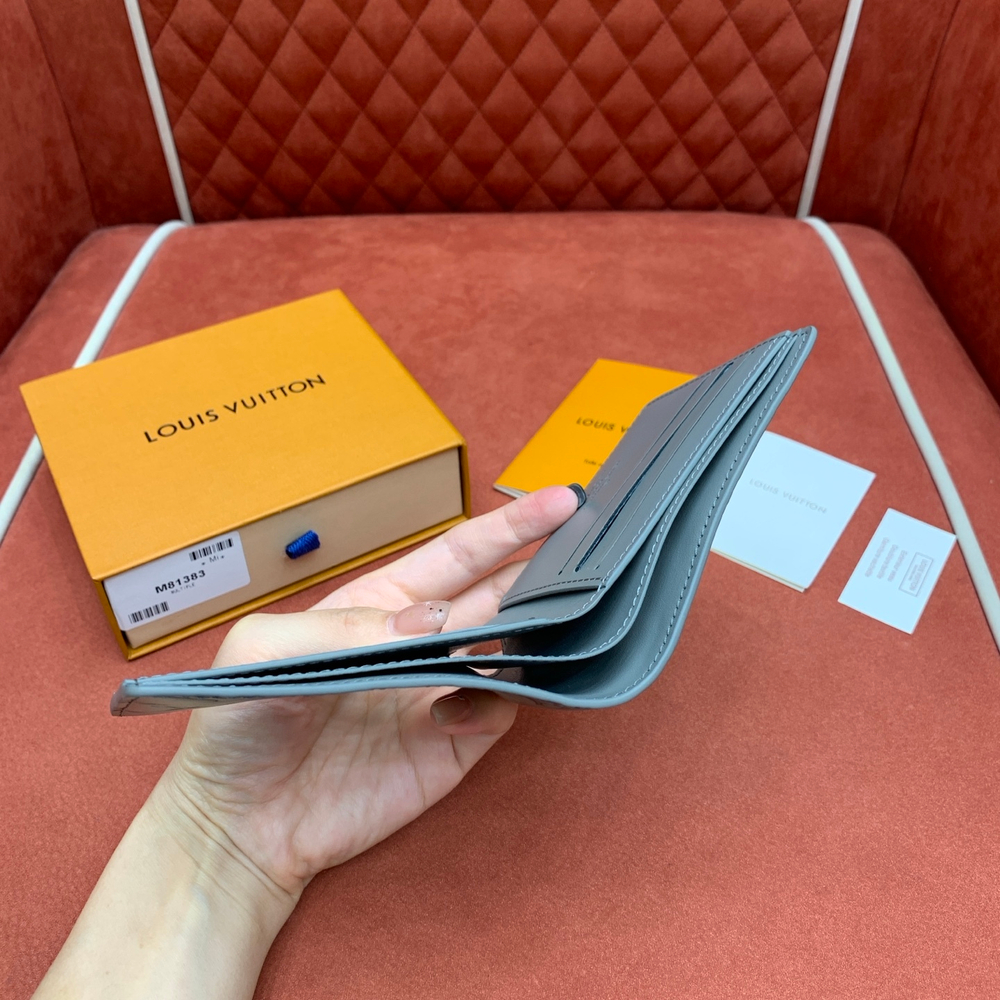 Louis Vuitton Multiple Wallet