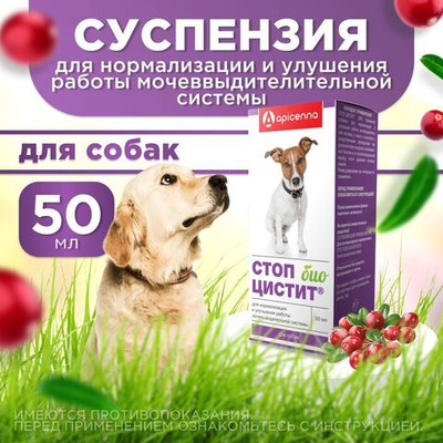 Кормовая добавка для нормализации и улучшения мочевыделительной системы и профилактики цистита, суспензия для собак Стоп-цистит БИО (Apicenna), 50мл