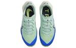Кроссовки Nike Air Zoom Terra Kiger 8 (Женская размерная сетка)