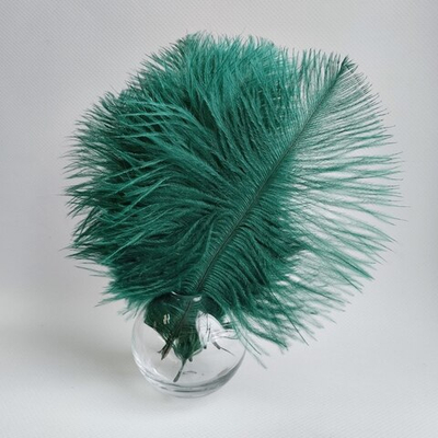 Перо страуса хвойные 15 - 20 см.