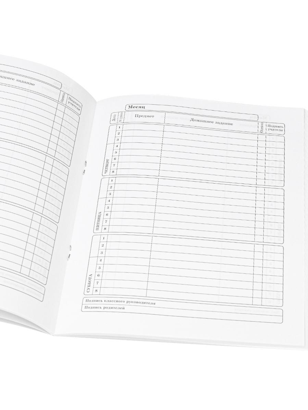 Дневник школьный 40л. "Мяч и огонь" (Проф-Пресс)