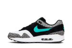 Кроссовки Jordan Max Atmos Pack