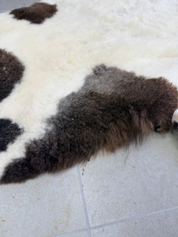 Ковер шкура натуральная овчина Меховой