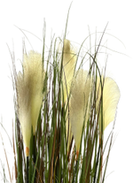 Осока Натурель 165 см