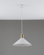Светильник подвесной Moderli V11550-1P Forli