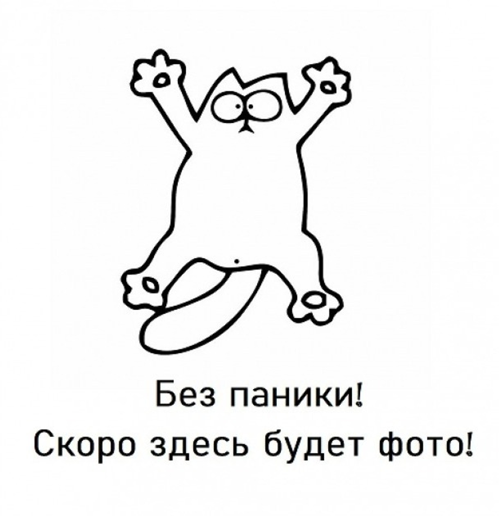 Дверь-купе ARISTO FLAT, зеркало, профиль шампань матовая