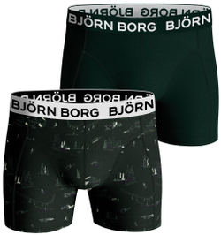 Bokserki спортивные Björn Borg Core Boxer B 2P - зеленый
