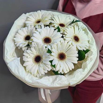 Букет из 7 белых гербер в "облачке"