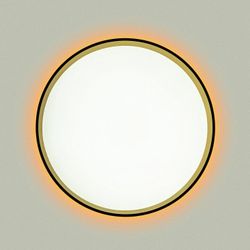 Накладной светильник Citilux ETALON CL750321R