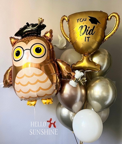 Набор шаров школьнику №6