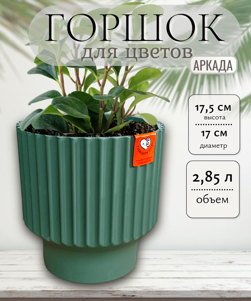 нефрит1