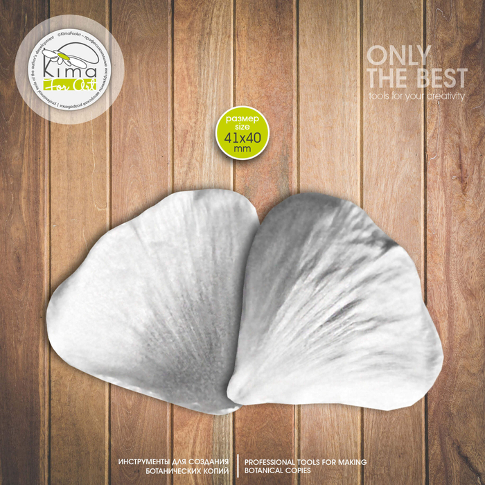 Ранункулюс лепесток большой