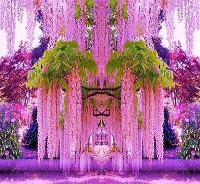 Аромат "Мистический Сад Альмин"