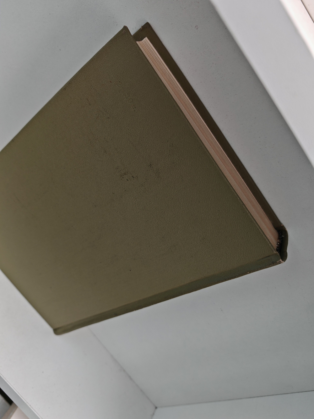 Ф. М. Достоевский. Полное собрание сочинений в 30 томах. Том 8. Идиот