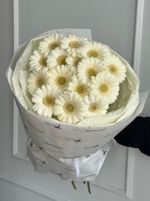 Монобукет из 15 минигербер