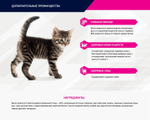 Eukanuba Kitten Healthy Start сбалансиованный сухой корм для котят 2 кг