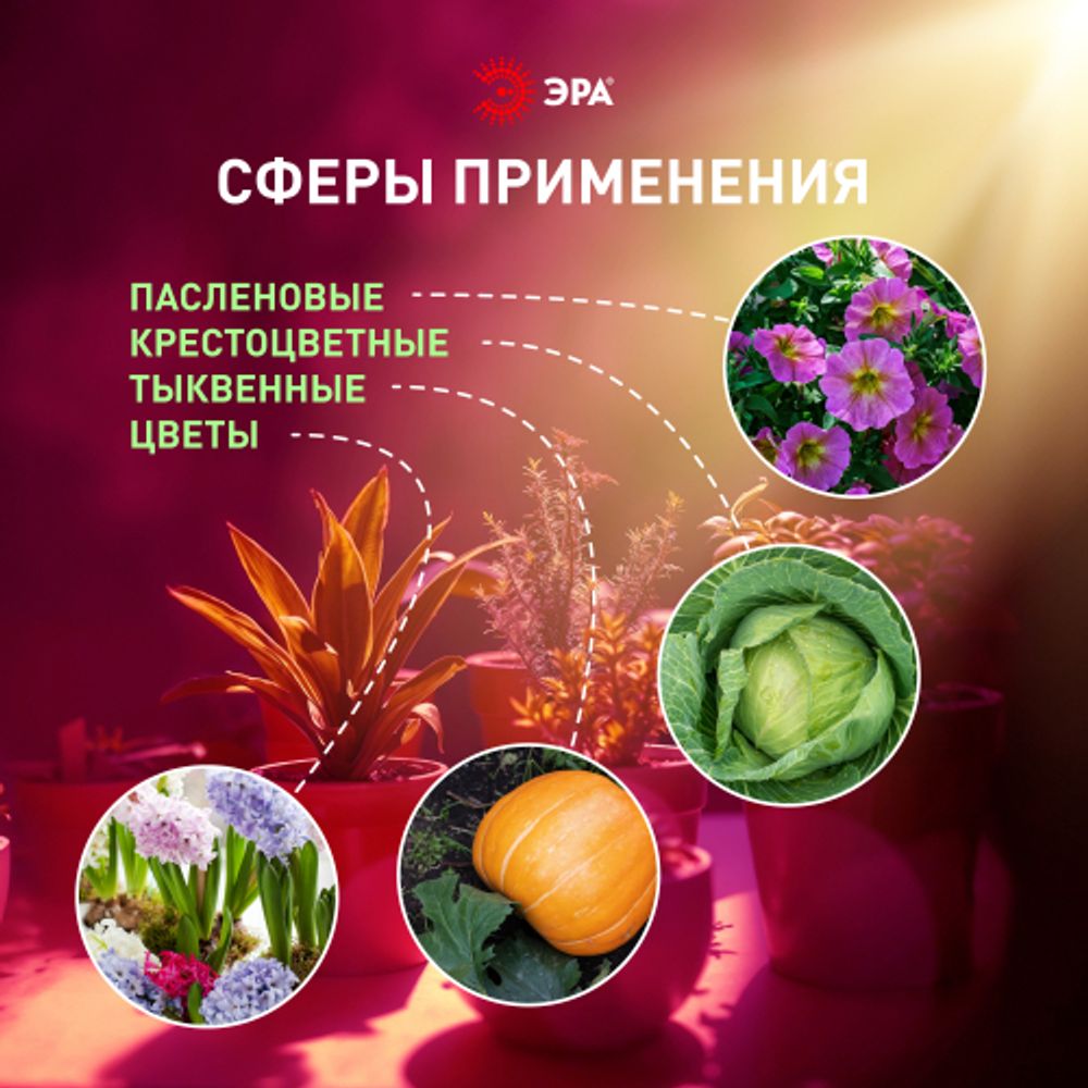 Светильник для растений, фитолампа светодиодная линейная ЭРА FITO-9W-Rb-Т8+FITO-Holder IP65 2хG13 с выключателем, 1.5м