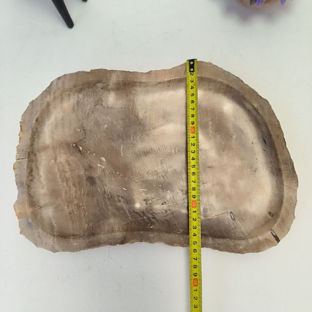 Набор из окаменелого дерева 4 предм Fossil Set NF-63068 поднос 27см*38см
