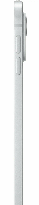 Apple iPad Pro (2024) 11 Wifi + Cellular Серый