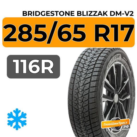 Bridgestone Blizzak DM-V2 285/65 R17 116R