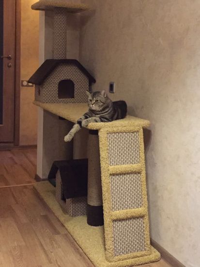 Комплекс для кошки К-165