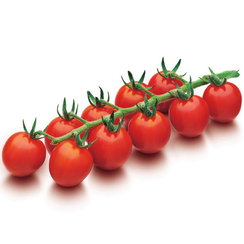 ДРК 564 F1 семена томата индетерминантного (De Ruiter Seeds / Де Ройтер Сидс)