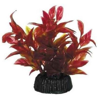 Растение "Альтернантера", красное, 80мм, Laguna AQUA